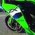 Kawasaki Ninja 636 ZX-6R (2024 - 26) (10)