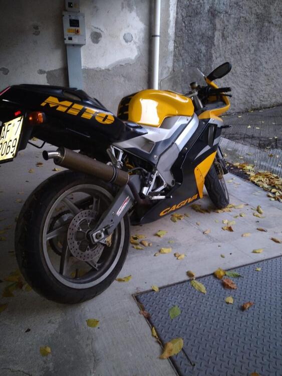 Cagiva Mito Seven Speed (4)