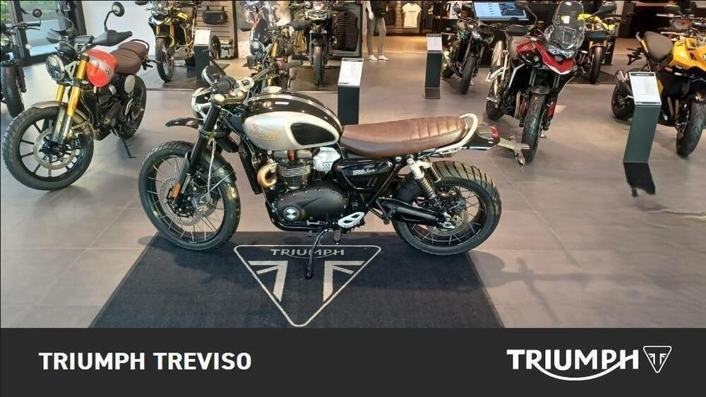 Triumph Scrambler 1200 X (2024 - 25) (2)