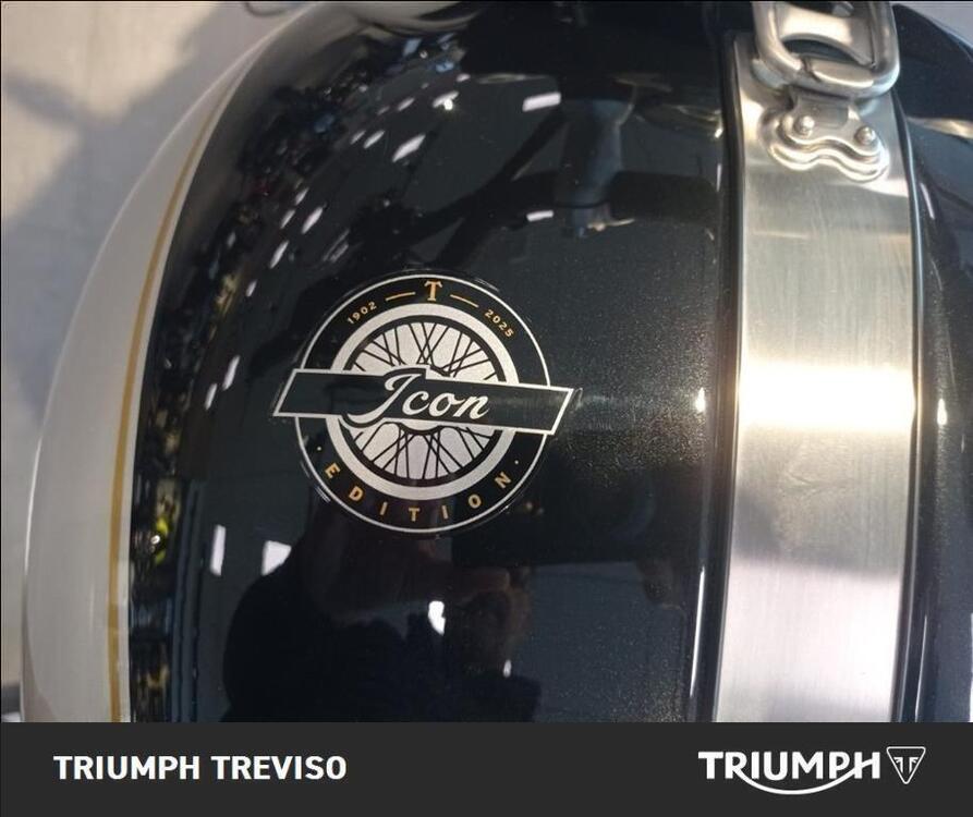 Triumph Scrambler 1200 X (2024 - 25) (3)