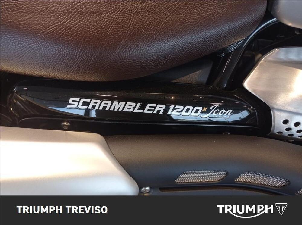 Triumph Scrambler 1200 X (2024 - 25) (4)