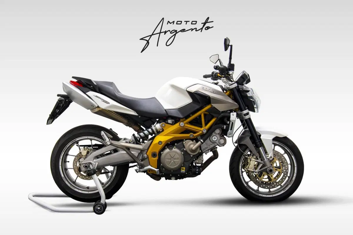 Aprilia Shiver 750 (2010 - 16)