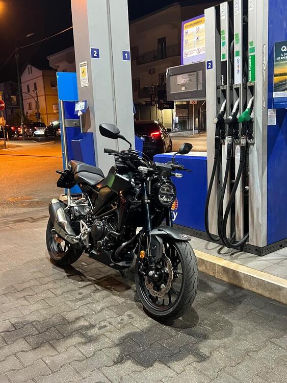 Honda CB 300 R (2022 - 25) (3)