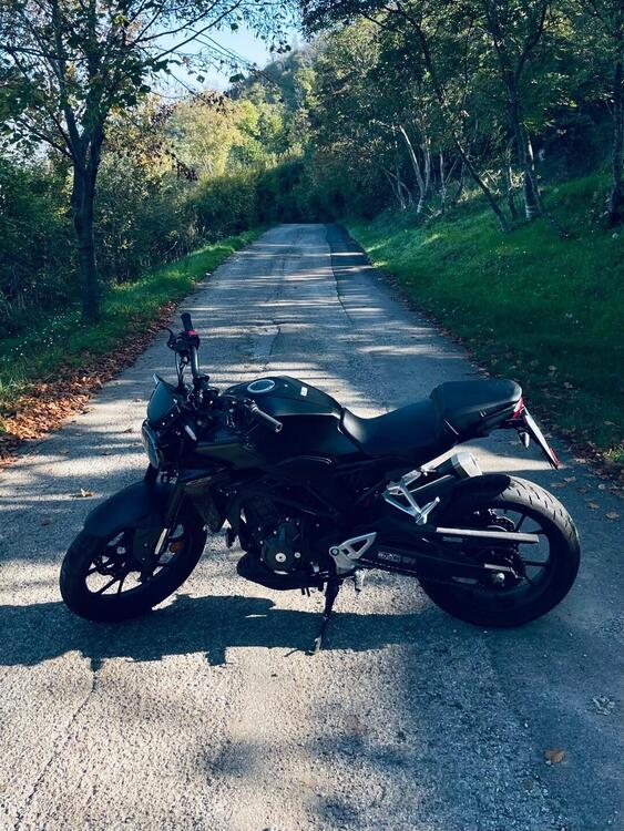 Honda CB 300 R (2022 - 25)