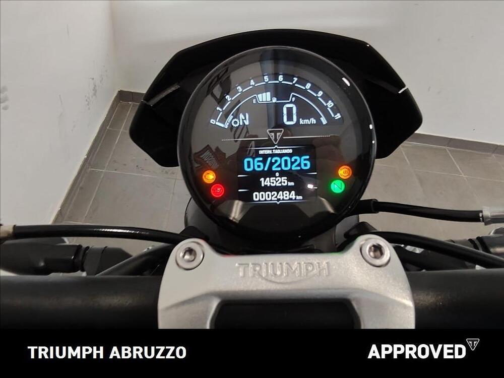 Triumph Trident 660 Triple Tribute Edition (2025) (2)