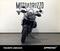Triumph Tiger Sport 660 (2022 - 24) (12)