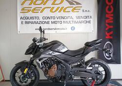 Voge Brivido 625R (2025) nuova