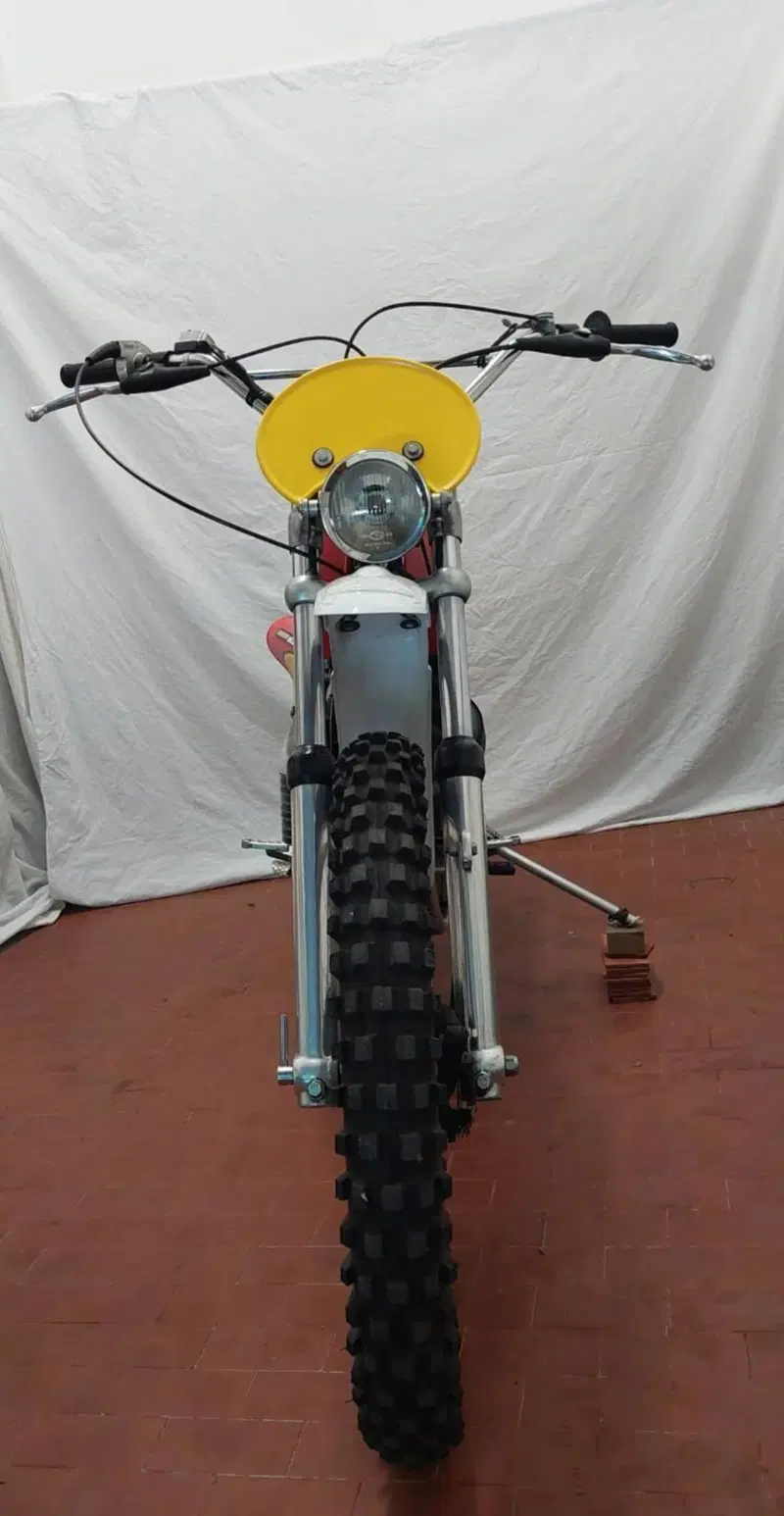 KTM GS 250 (3)