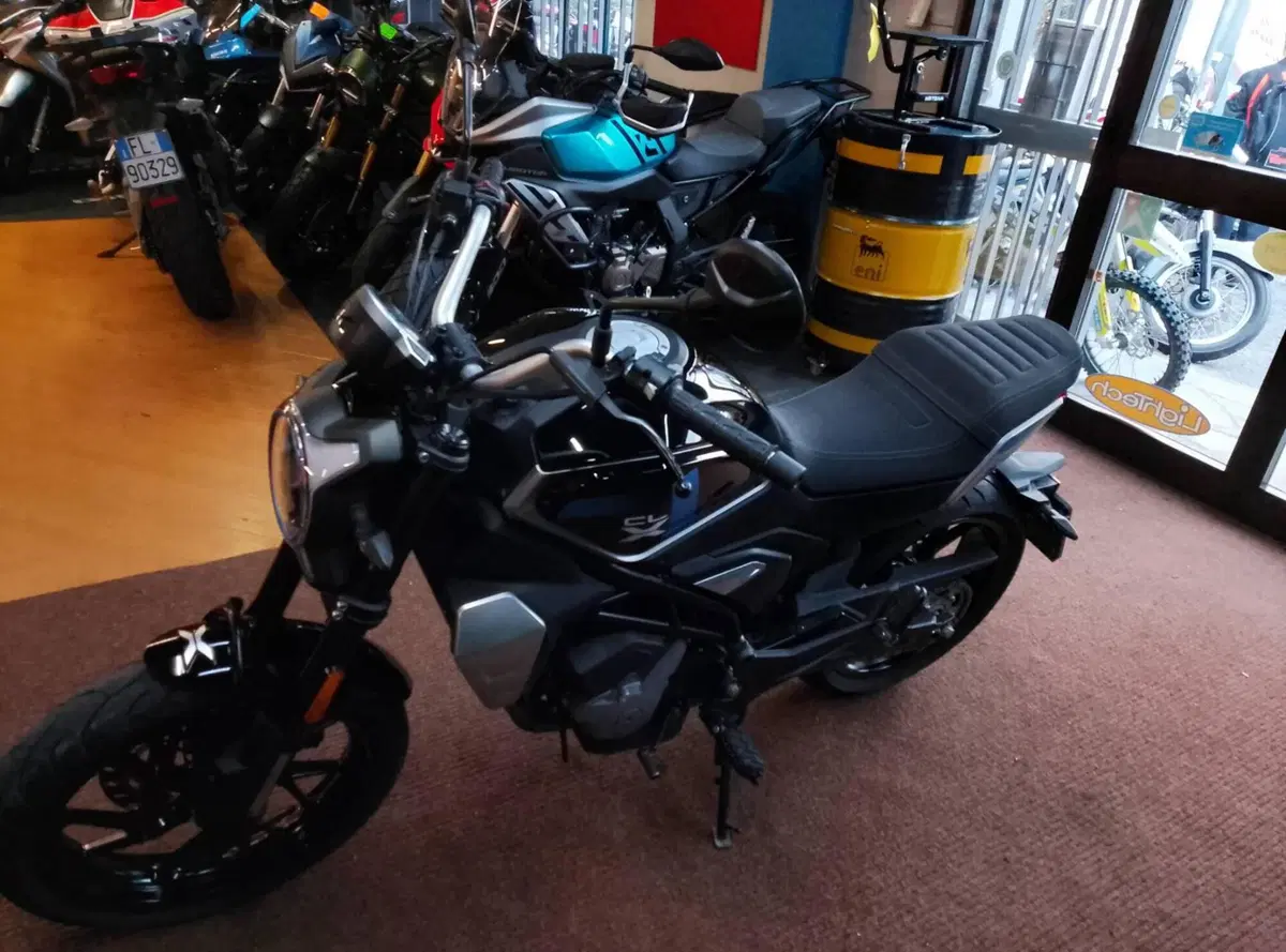 CFMOTO 300CL-X Heritage (2023 - 26) (5)