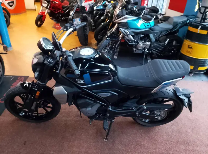 CFMOTO 300CL-X Heritage (2023 - 26) (7)