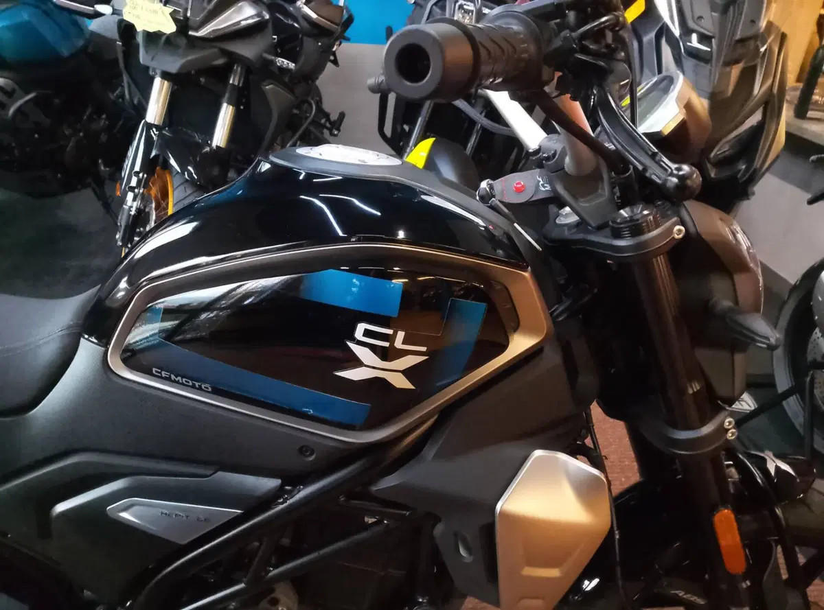 CFMOTO 300CL-X Heritage (2023 - 26) (13)