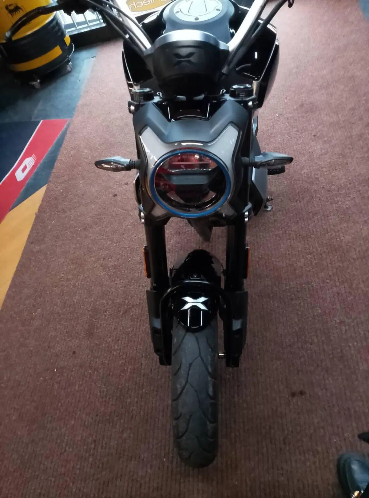 CFMOTO 300CL-X Heritage (2023 - 26) (14)