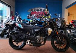 CFMOTO 300CL-X Heritage (2023 - 25) usata