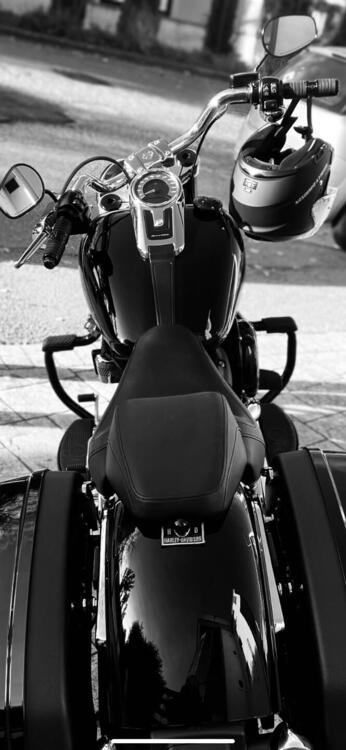 Harley-Davidson 107 Sport Glide (2018 - 20) (3)