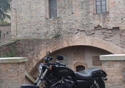 Harley-Davidson 883 Iron (2012 - 14) - XL 883N usata