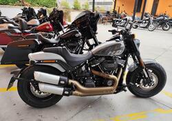 Harley-Davidson Fat Bob 114 (2021 - 25) usata