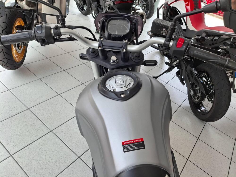 Voge Trofeo 300ACX Scrambler (2021 - 25) (4)