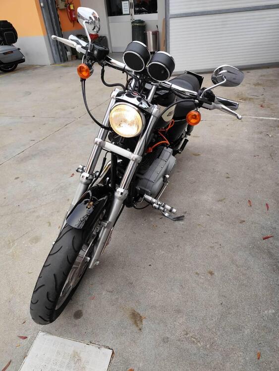 Harley-Davidson 1200 Roadster (2002 - 05) - XL 1200R (3)