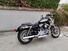 Harley-Davidson 1200 Roadster (2002 - 05) - XL 1200R (8)