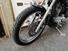 Harley-Davidson 883 Custom (2001 - 05) - XL 53C (20)