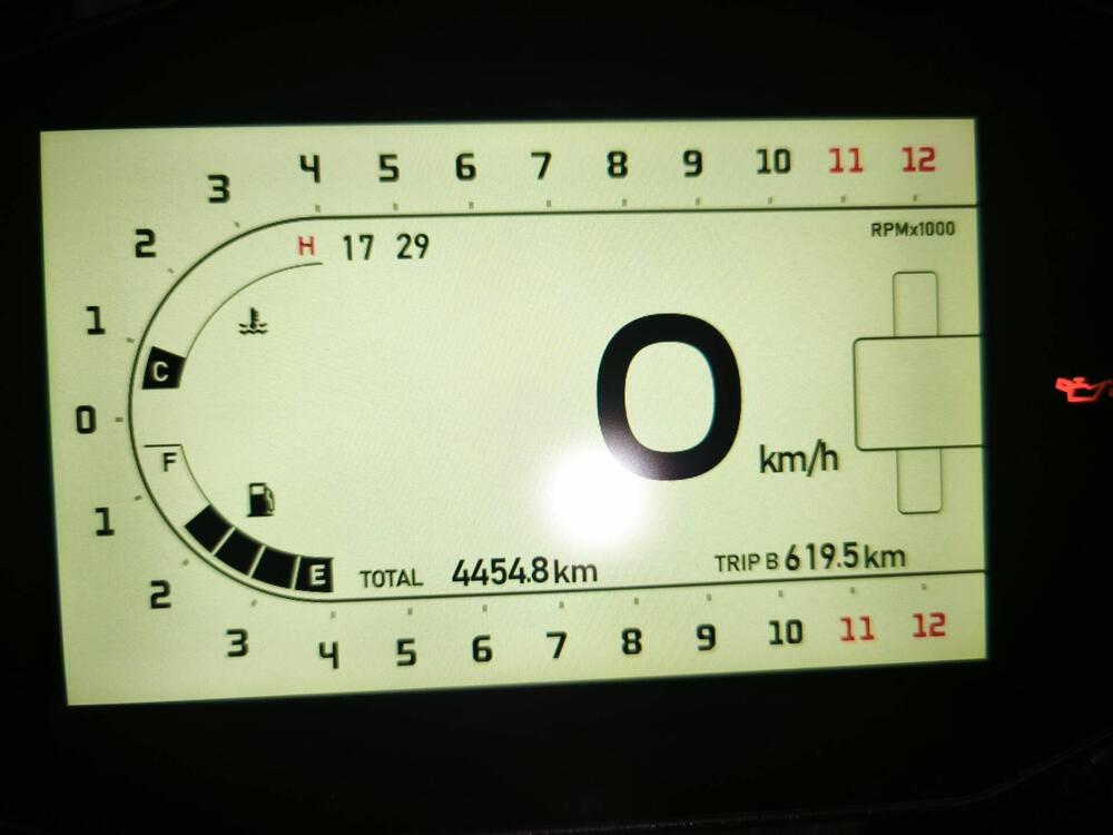 Benelli Leoncino 800 (2022 - 25) (5)