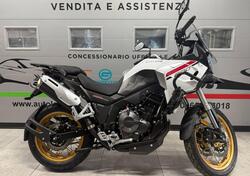 Cyclone RX600 (2025) nuova