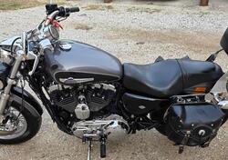 Harley-Davidson 1200 Custom ABS (2014 - 16) - XL 1200C usata