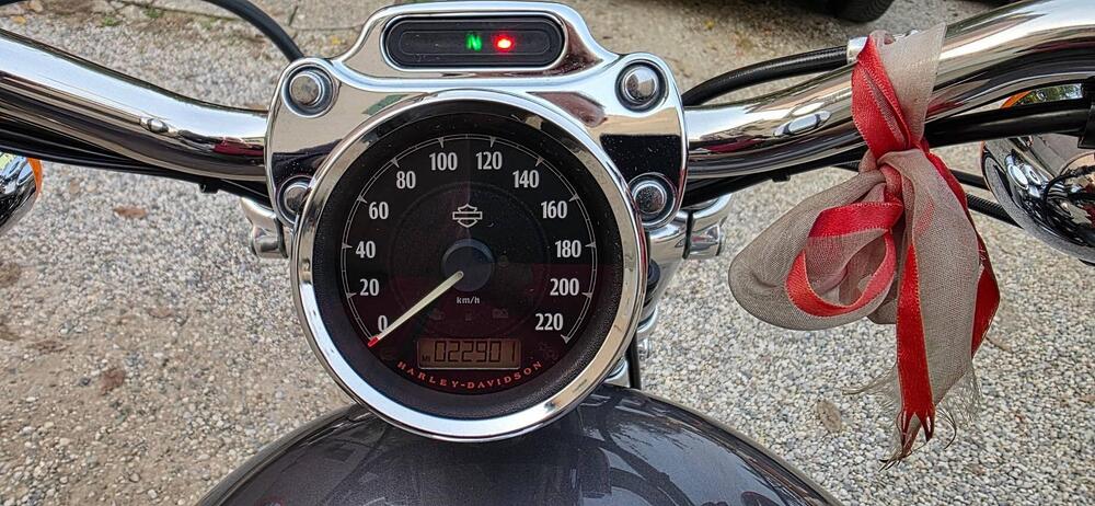 Harley-Davidson 1200 Custom ABS (2014 - 16) - XL 1200C (5)