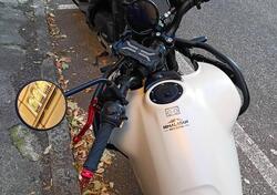 Royal Enfield Himalayan 450 (2024 - 25) usata