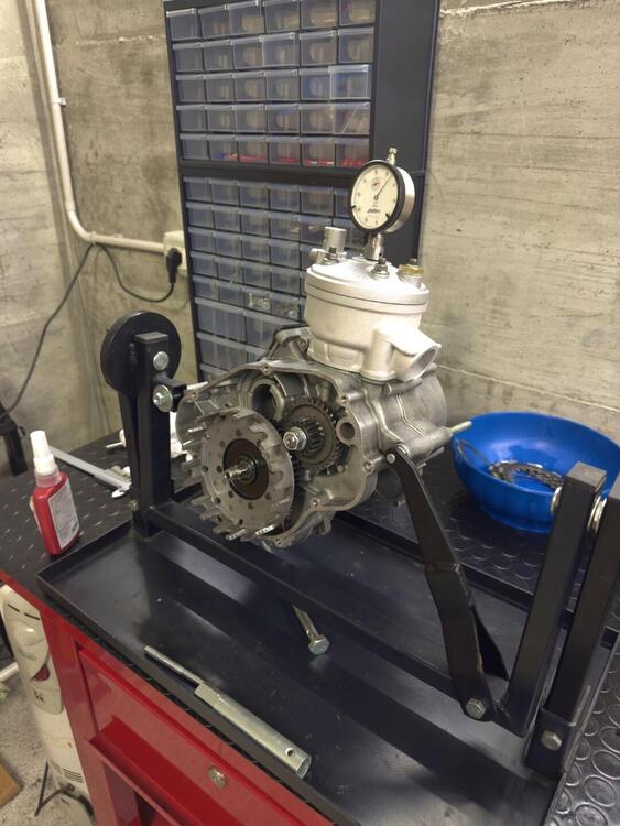 Betamotor RR 50 Motard (2021 - 25) (5)