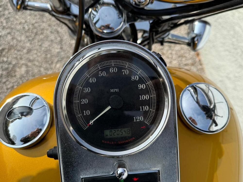 Harley-Davidson 1584 Custom (2008 - 09) - FXSTC (3)