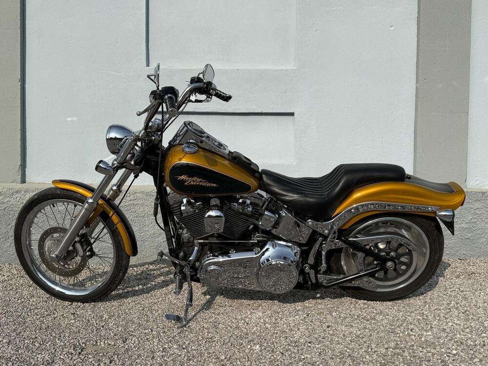 Harley-Davidson 1584 Custom (2008 - 09) - FXSTC (2)