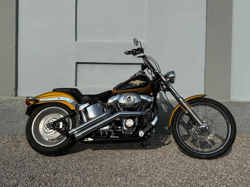 Harley-Davidson 1584 Custom (2008 - 09) - FXSTC