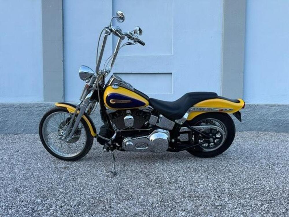 Harley-Davidson 1450 Springer (2002 - 04) - FXSTSI (5)