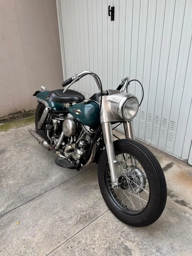 Harley-Davidson Panhead Duo Glide FLH 1200 (5)