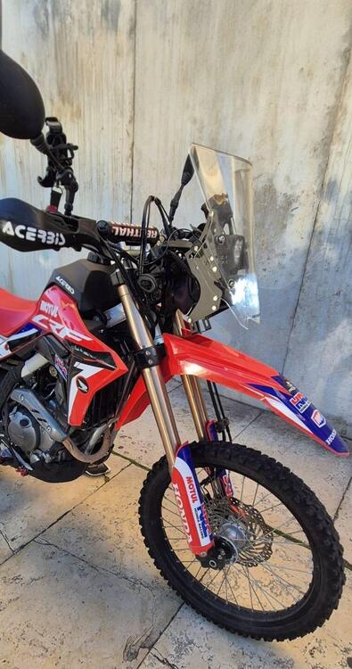 Honda CRF 300 L (2021 - 24) (3)