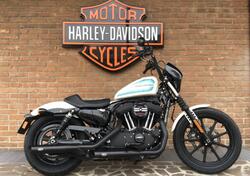 Harley-Davidson 1200 Iron (2018 - 20) - XL1200N usata