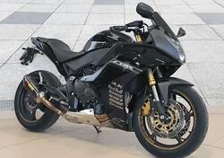 Honda CBR 600 F (2011 - 13) usata