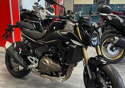 QJ Motor SRK 550 (2024 - 25) nuova