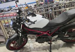 Suzuki SV650 (2021 - 24) usata