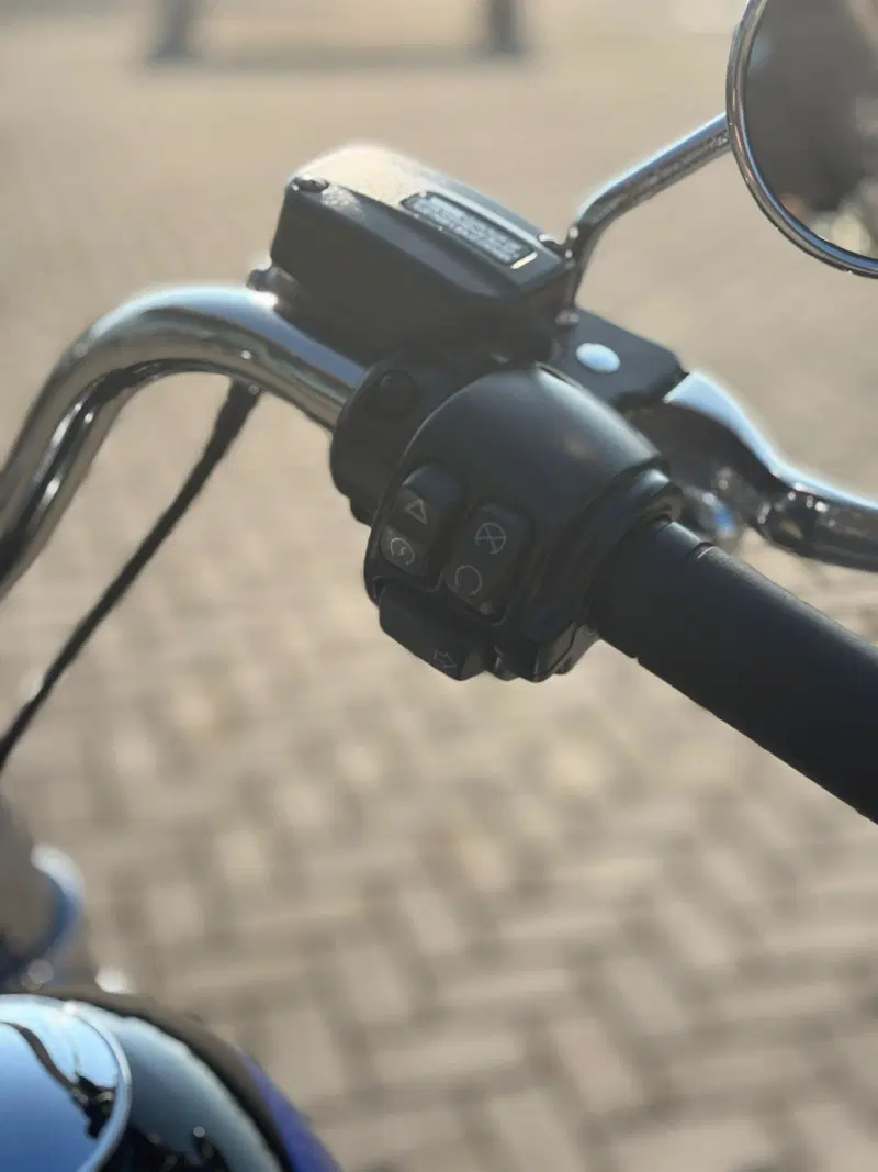 Harley-Davidson 107 Low Rider (2018 - 20) - FXLR (7)