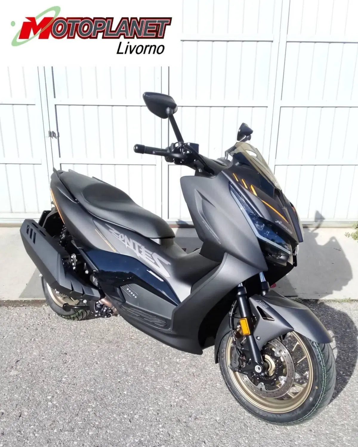 Zontes ZT368-D (2025 - 26)