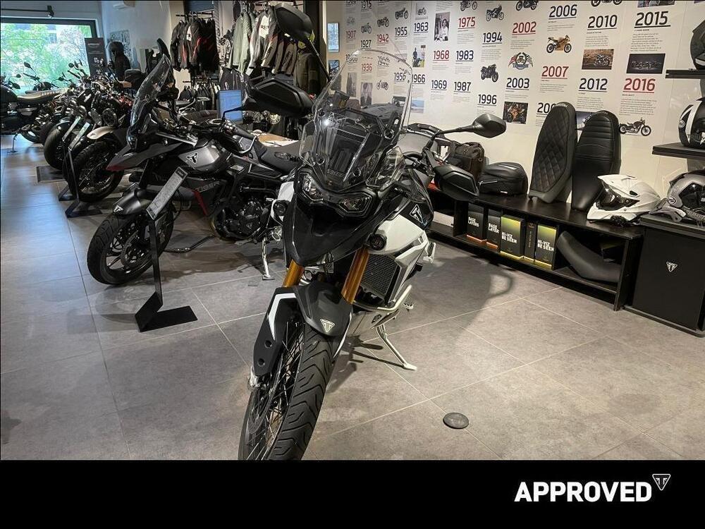 Triumph Tiger 900 Rally Pro (2024 - 25) (4)