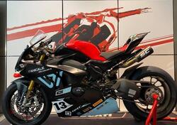 Ducati Panigale V4 S (2022 - 24) usata