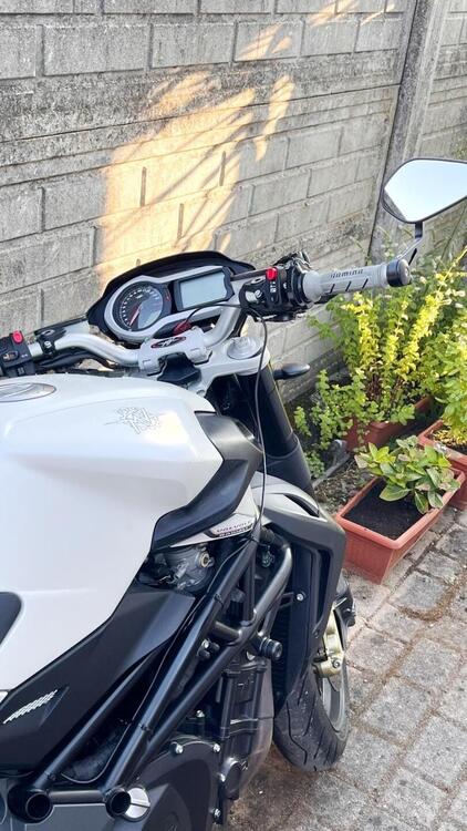 MV Agusta Brutale 920 (2011 - 12) (2)