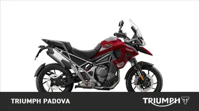 Triumph Tiger 1200 GT Pro (2024 - 26) nuova