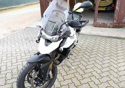 Triumph Tiger 900 GT Pro (2020 - 23) usata