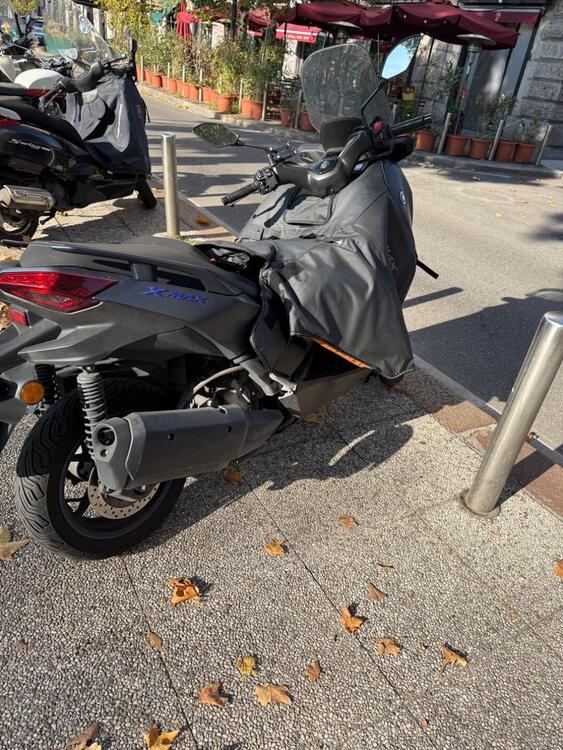 Yamaha X-Max 300 (2021 - 24) (2)