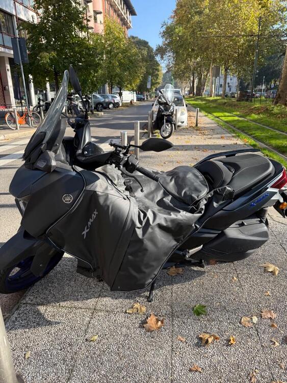 Yamaha X-Max 300 (2021 - 24) (4)