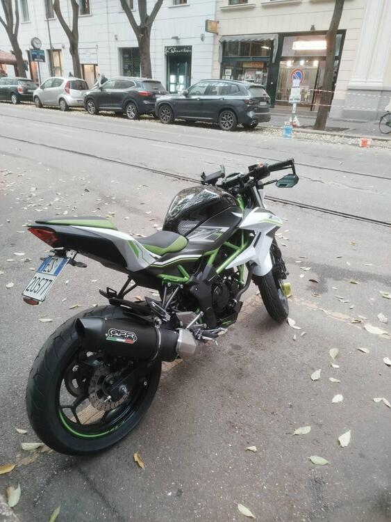 Kawasaki Z 125 (2019 - 20)